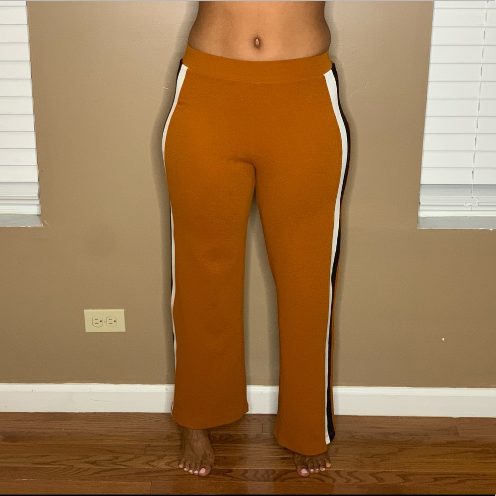 Zara Burnt Orange Pants with White and Black Strip